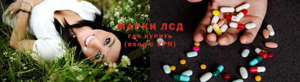 ПСИЛОЦИБИНОВЫЕ ГРИБЫ Инсар