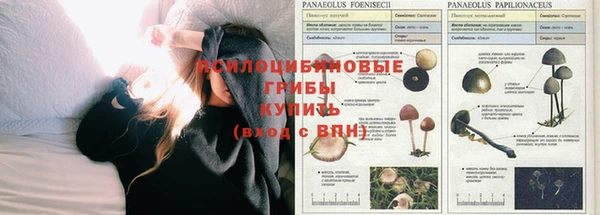 гашик Иннополис