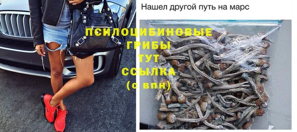 гашик Иннополис