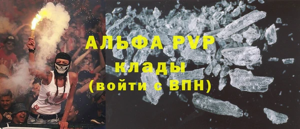 ПСИЛОЦИБИНОВЫЕ ГРИБЫ Инсар