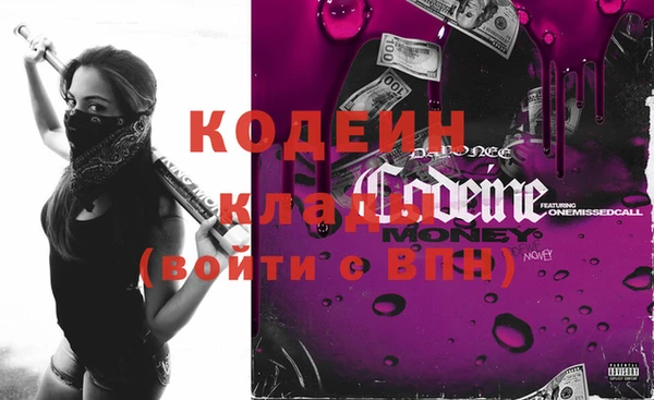 ПСИЛОЦИБИНОВЫЕ ГРИБЫ Инсар