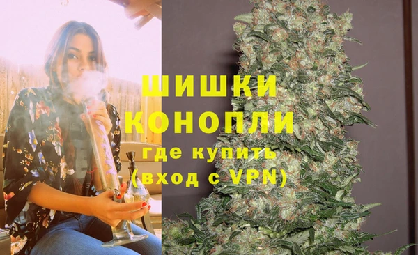 ПСИЛОЦИБИНОВЫЕ ГРИБЫ Инсар